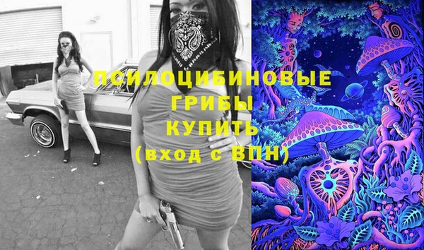 гашик Абаза