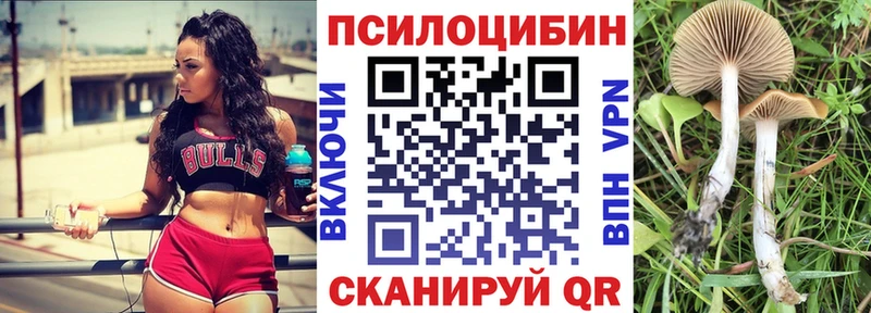 Псилоцибиновые грибы ЛСД  дарнет шоп  Дербент 